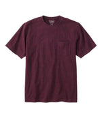 Men's Carefree Unshrinkable Tee with Pocket, Traditional Fit - US 0742