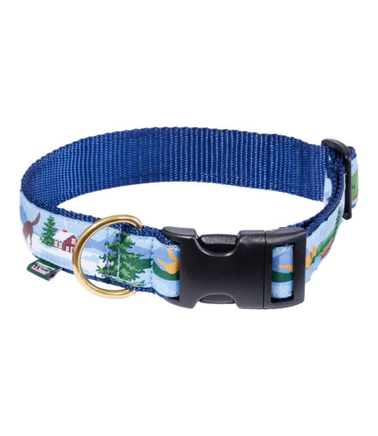 Novelty Dog Collar - US 6542