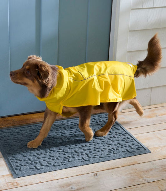Discovery Dog Rain Jacket - US 1864